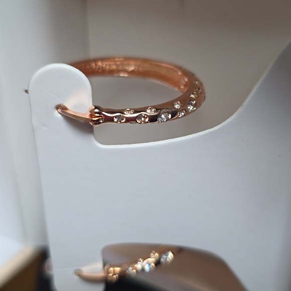 CHRYSTINA GENUINE CRYSTAL HOOP EARRINGS - Picture 13 of 13